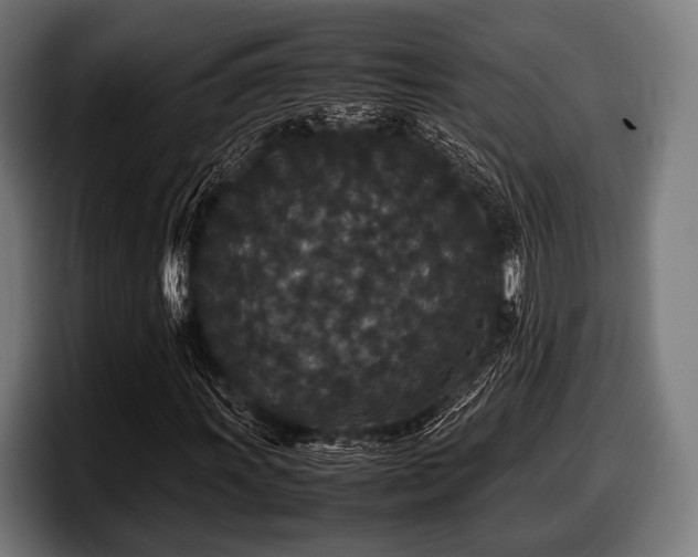 X0000097801011200803201353