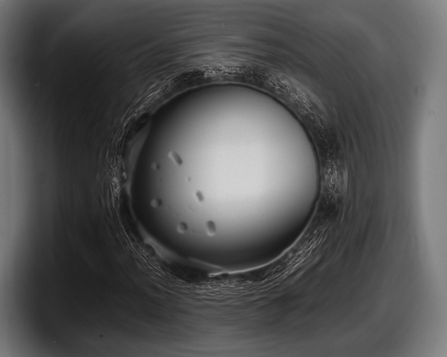 X0000097801012200803201353