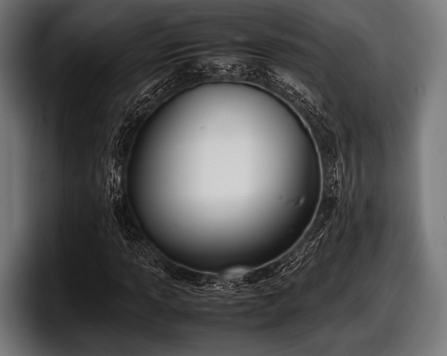 X0000097801013200803201353