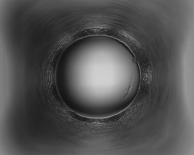 X0000097801014200803201353