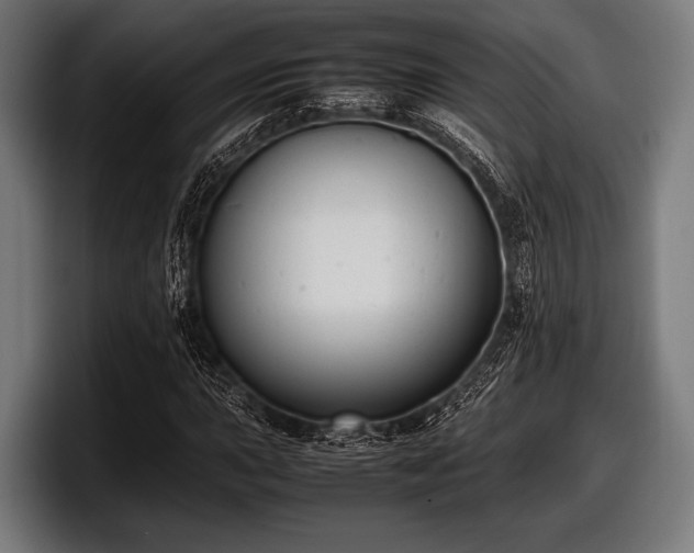 X0000097801015200803201353