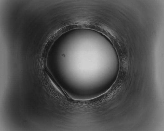 X0000097801016200803201353