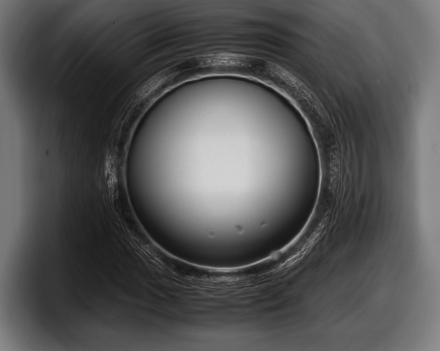 X0000097801017200803201353