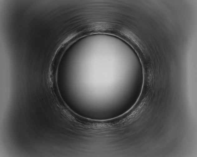 X0000097801018200803201353