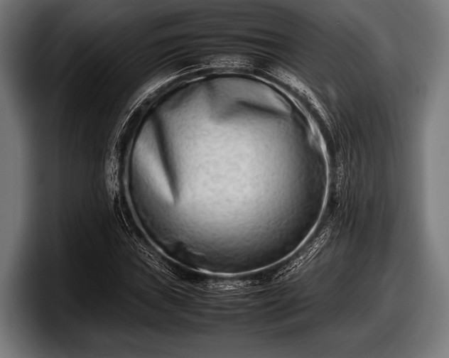 X0000097801019200803201353