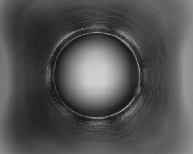 X0000097801021200803201353