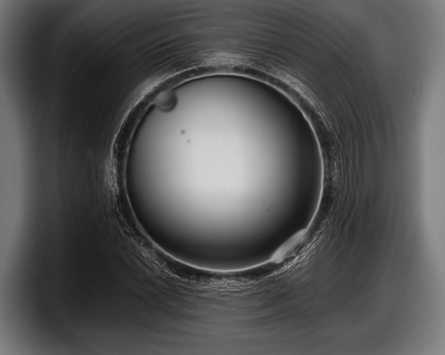 X0000097801022200803201353