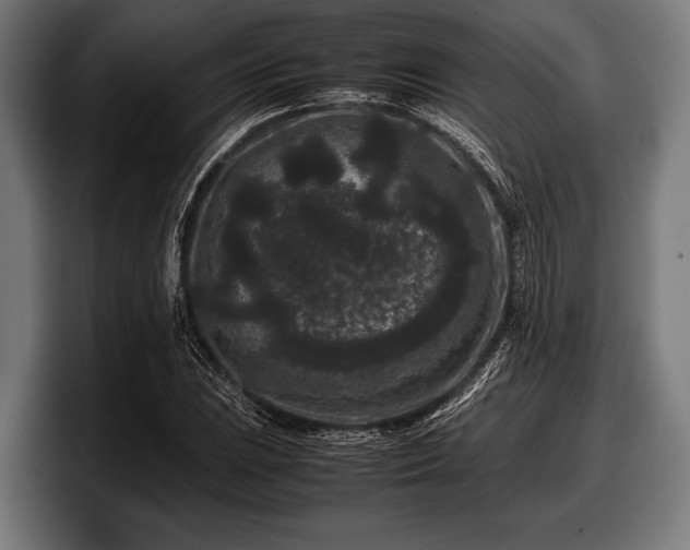 X0000097801023200803201353