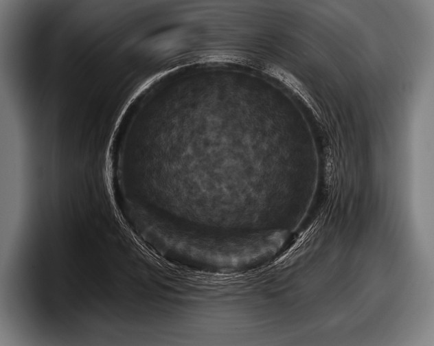 X0000097801024200803201353