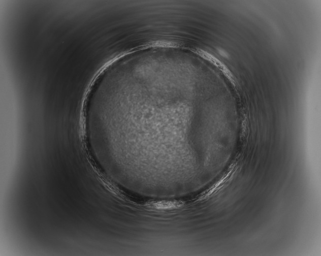 X0000097801027200803201353