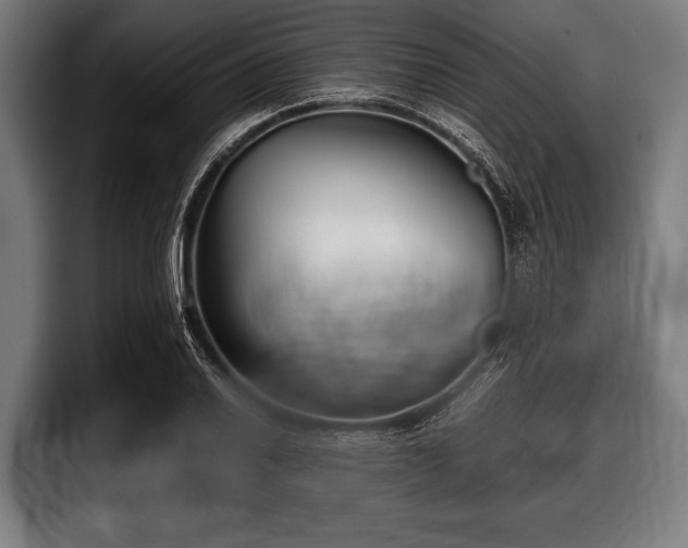 X0000097801030200803201353