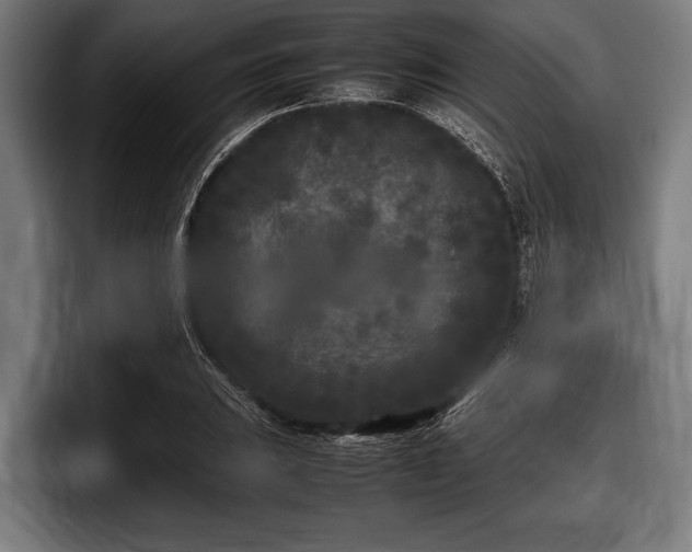 X0000097801031200803201353