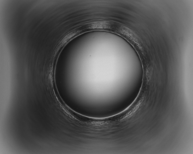 X0000097801033200803201353