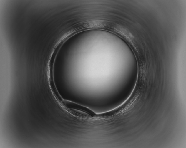 X0000097801034200803201353