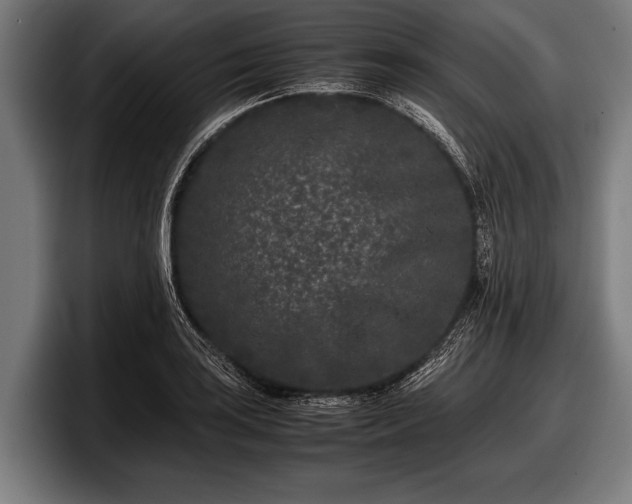 X0000097801035200803201353