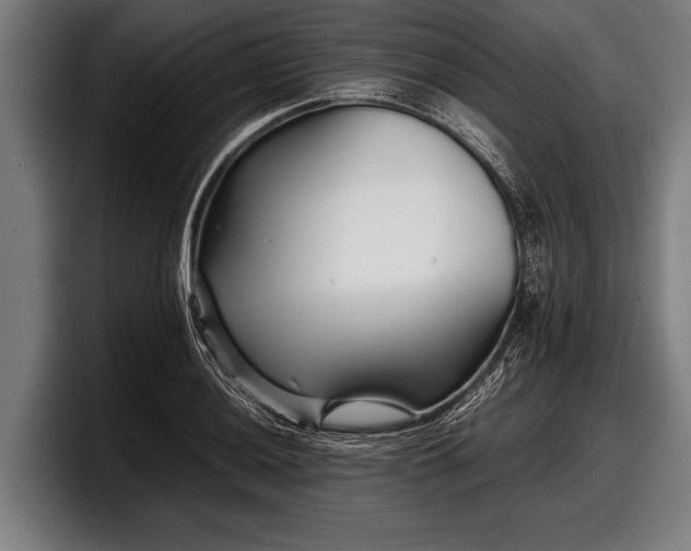 X0000097801036200803201353