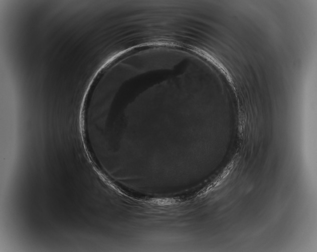 X0000097801037200803201353