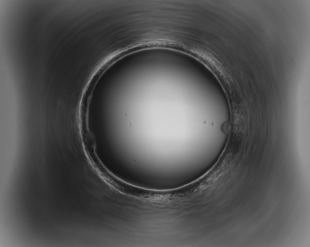 X0000097801038200803201353