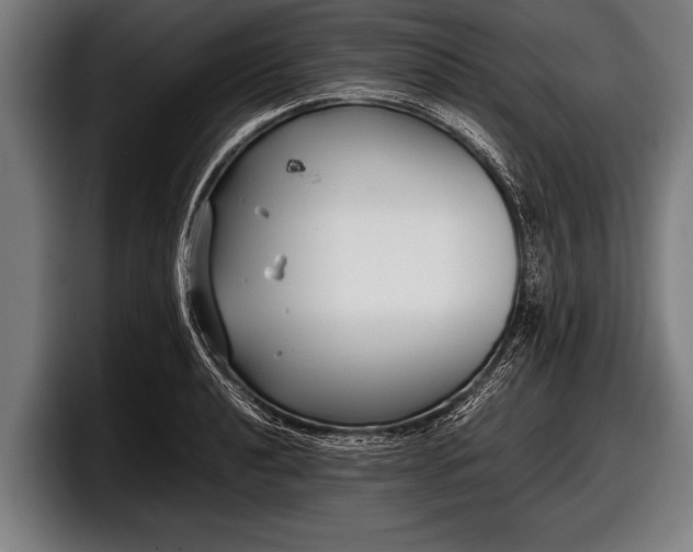 X0000097801040200803201353