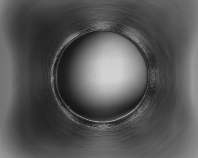 X0000097801042200803201353