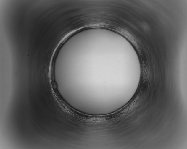 X0000097801044200803201353