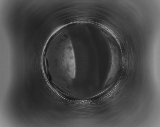 X0000097801045200803201353