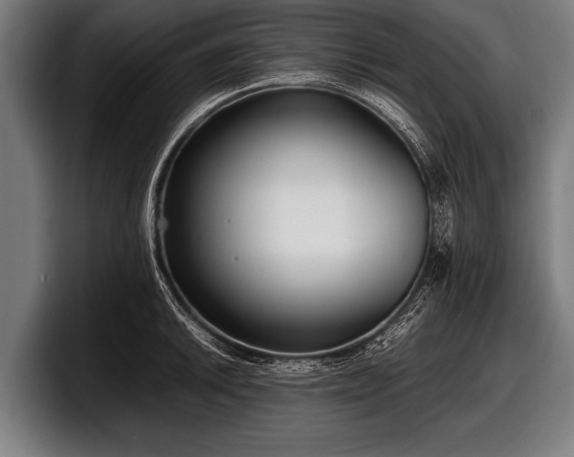 X0000097801046200803201353