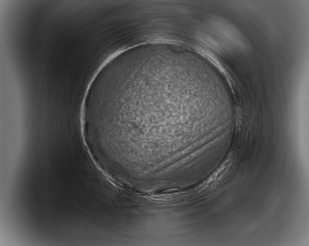 X0000097801048200803201353