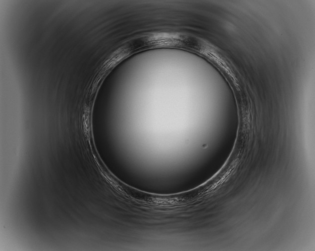 X0000097801049200803201353