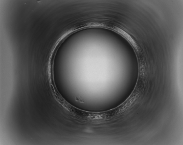 X0000097801051200803201353