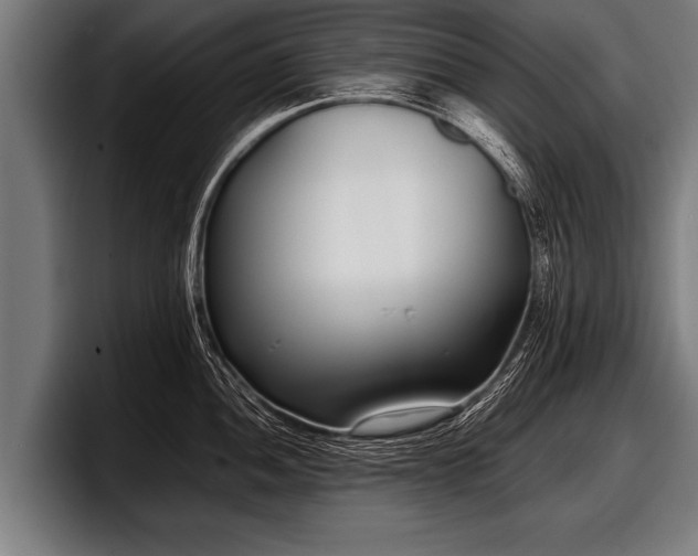 X0000097801052200803201353