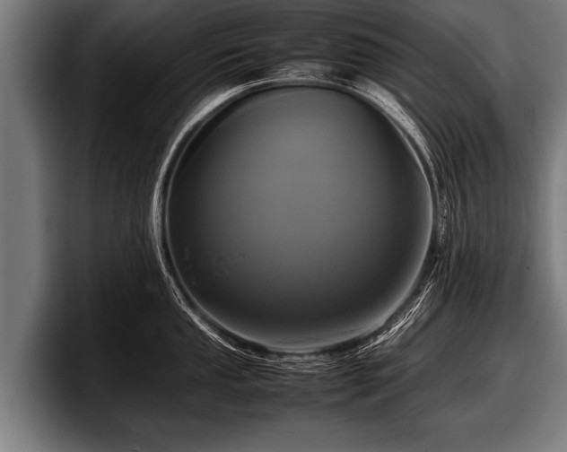 X0000097801053200803201353