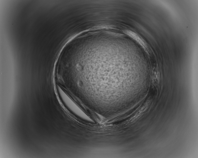 X0000097801055200803201353