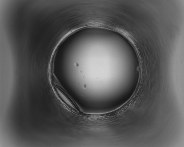 X0000097801056200803201353