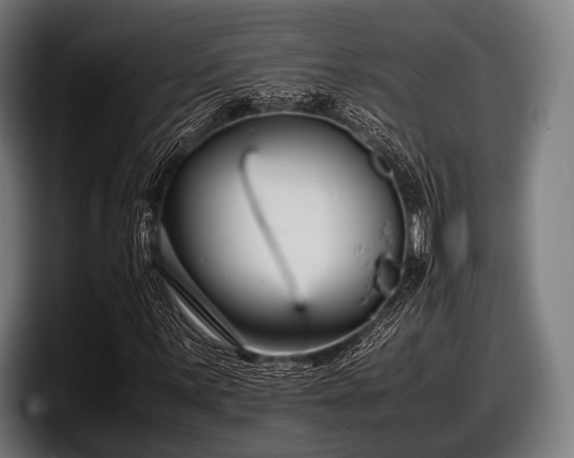 X0000097801059200803201352