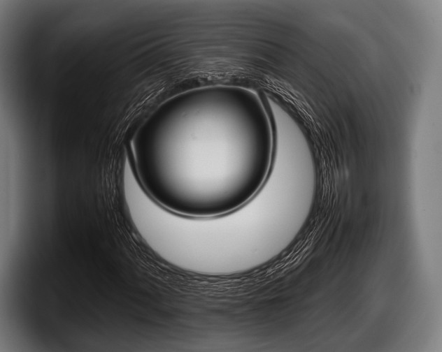 X0000097801060200803201352