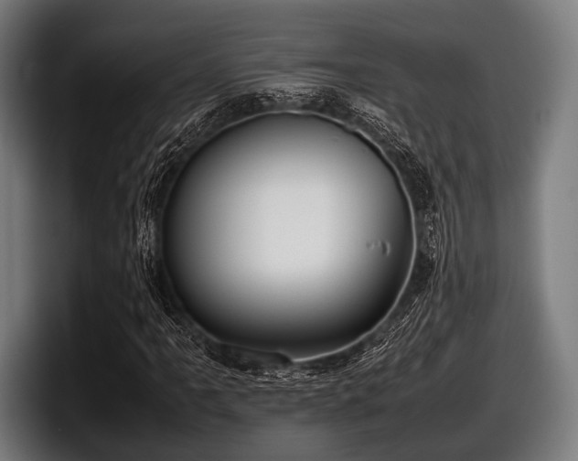 X0000097801061200803201352