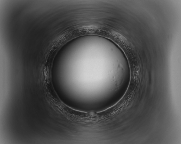 X0000097801062200803201352