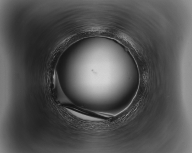 X0000097801064200803201352