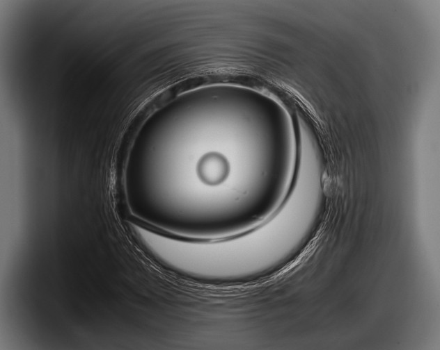 X0000097801065200803201352