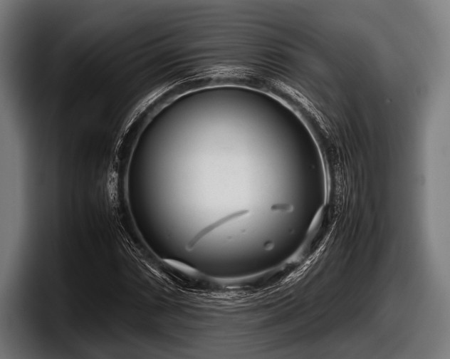 X0000097801066200803201352