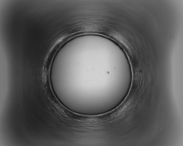 X0000097801067200803201352