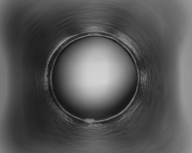 X0000097801068200803201352