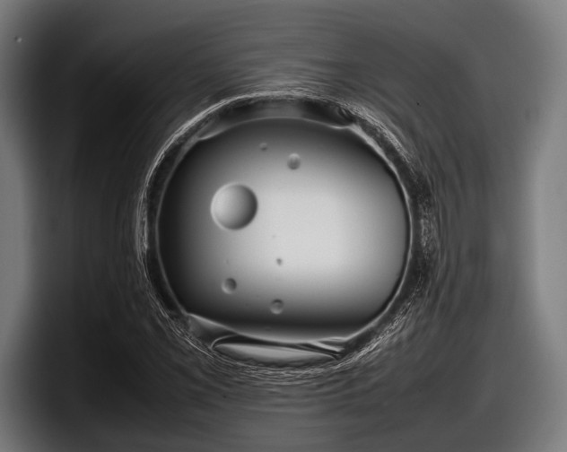 X0000097801069200803201352