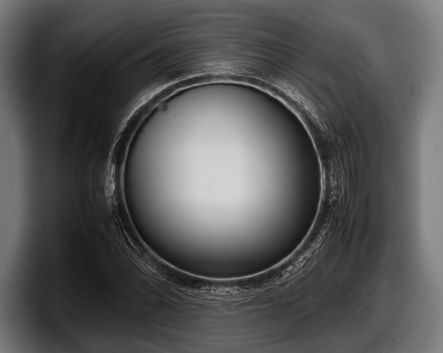 X0000097801070200803201352