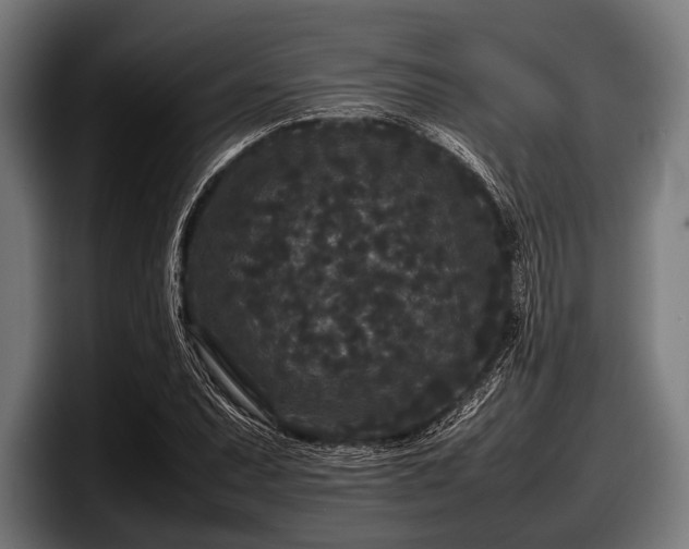 X0000097801071200803201352