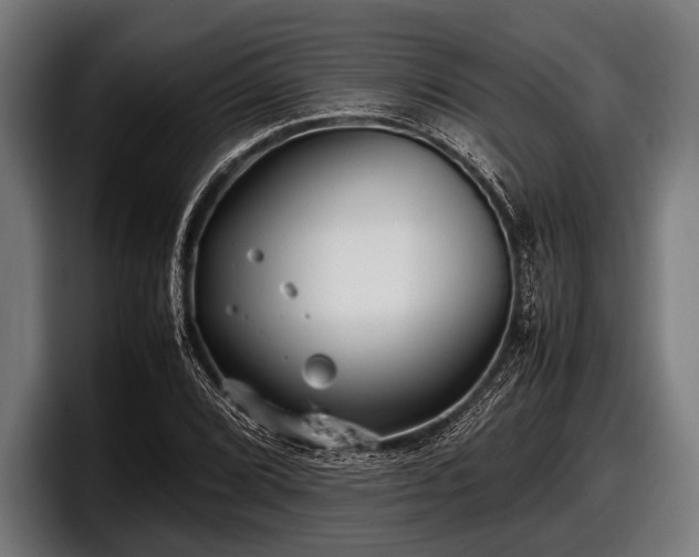 X0000097801072200803201352