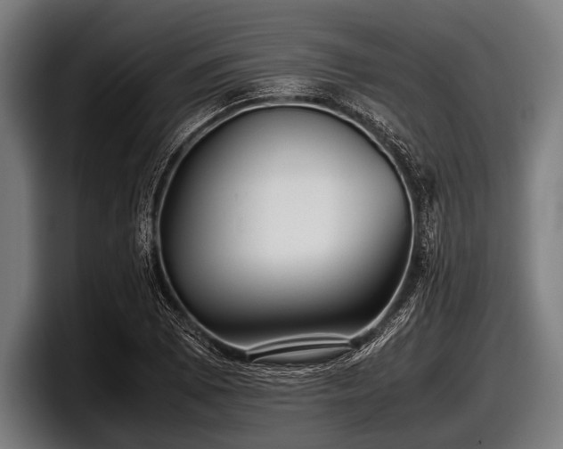 X0000097801073200803201352