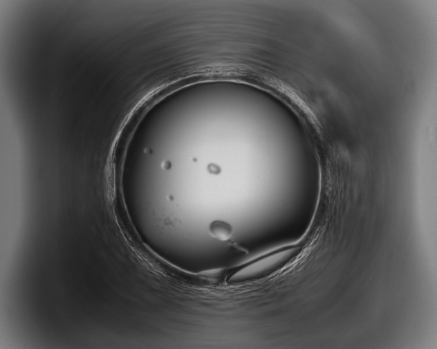 X0000097801075200803201352