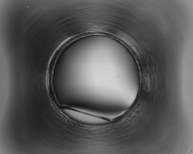 X0000097801076200803201352